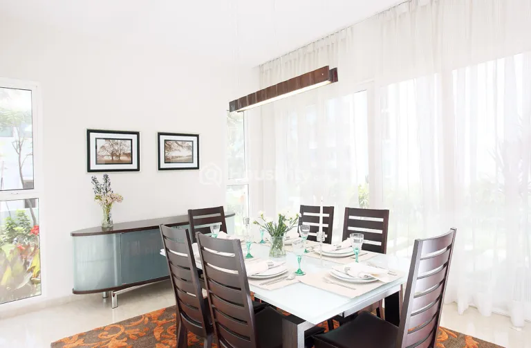 Century Wintersun Image 15