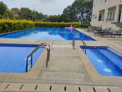 Century Wintersun Image 10