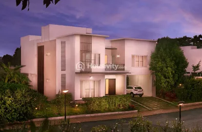 Century Wintersun Image 4