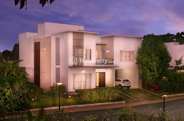 Century Wintersun Image 4