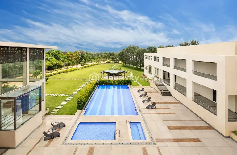 Century Wintersun Image 9