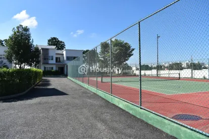 Century Wintersun Image 7