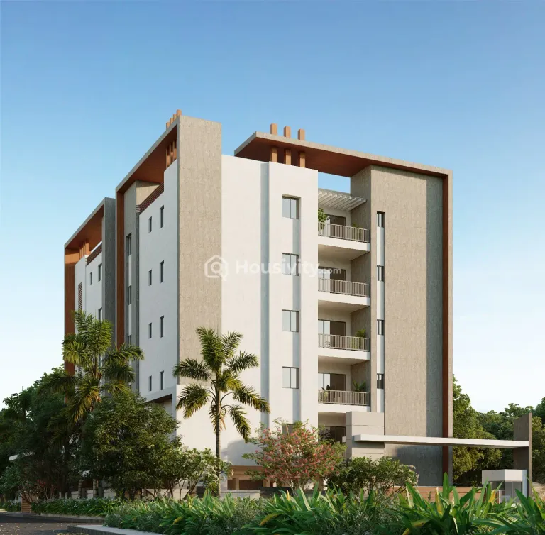 Doyen Ascent Robin Thumbnail