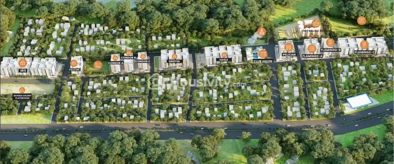 Doyen Ascent Condor Image 8