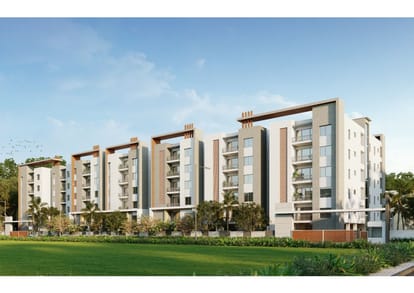 Doyen Ascent IBIS Brochure Image 3