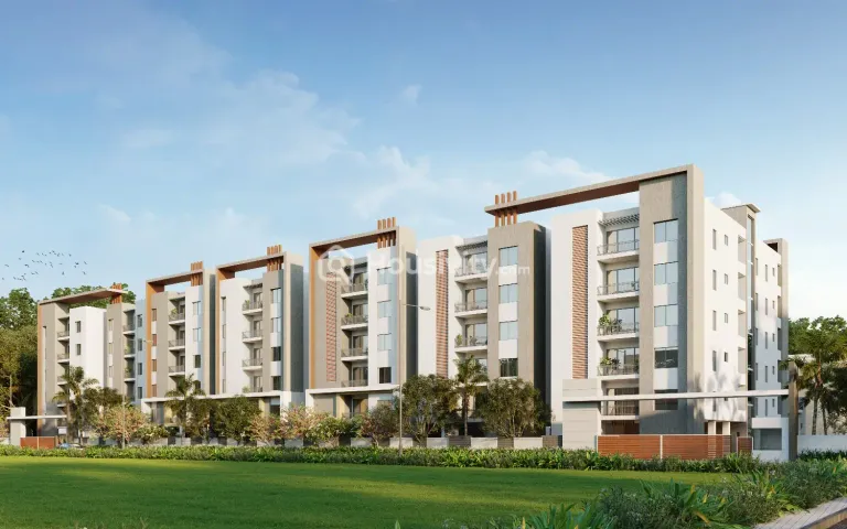 Doyen Ascent IBIS Image 2