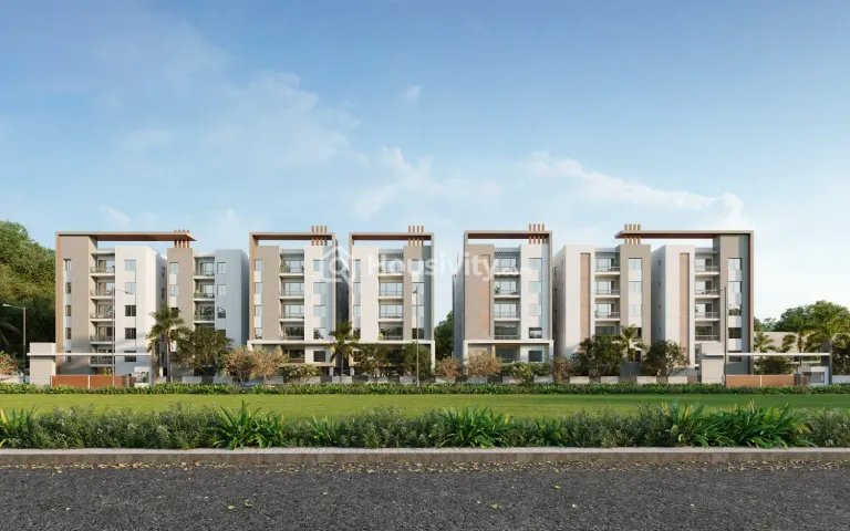 Doyen Ascent IBIS Thumbnail