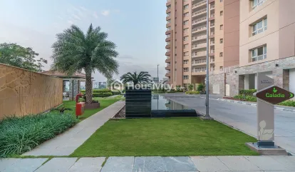 Koncept Ambience The Botanika Image 3