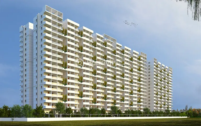 Anmol Livana Thumbnail