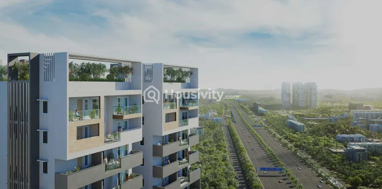 Anvita Ivana 2 Image 3