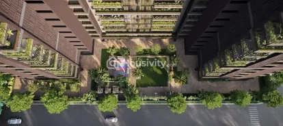 Aaron Elinor 108 Image 2