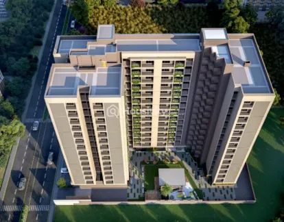 Green Abalone Image 4