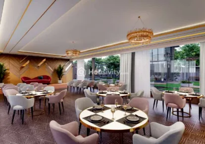 Green Abalone Image 3