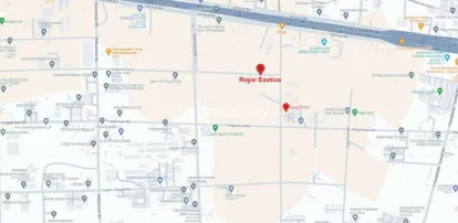 Royal Exotica Image 4