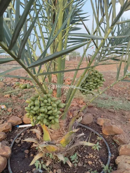 ₹7 L - ₹7 L Image 14