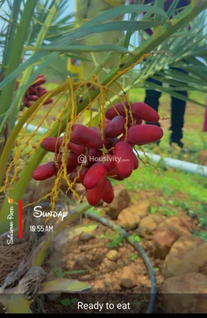 ₹7 L - ₹7 L Image 16