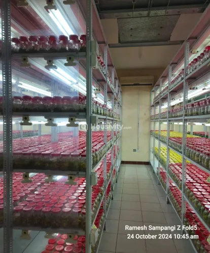 ₹7 L - ₹7 L Image 4