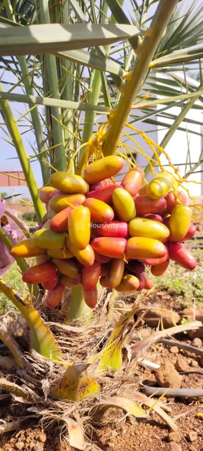 ₹7 L - ₹7 L Image 12