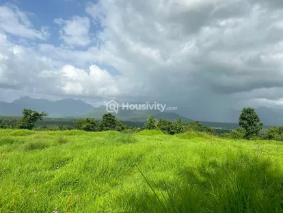 500000 Sqft Land For Sale Image 1