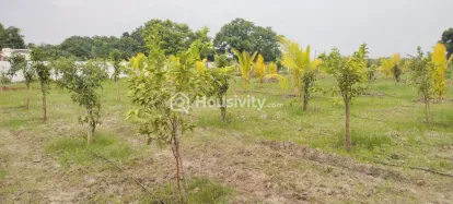 ₹24 L - ₹25 L Image 2