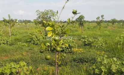 ₹24 L - ₹25 L Image 8