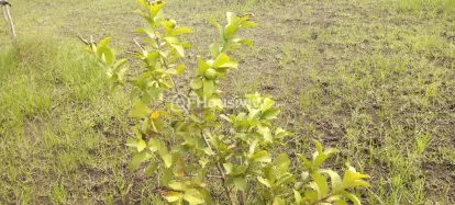 ₹24 L - ₹25 L Image 6
