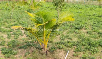 ₹24 L - ₹25 L Image 7