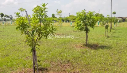 ₹24 L - ₹25 L Image 5