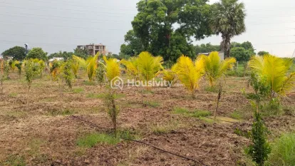 ₹24 L - ₹25 L Image 4