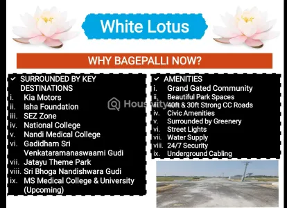 1200 Sqft Plot For Sale Image 2