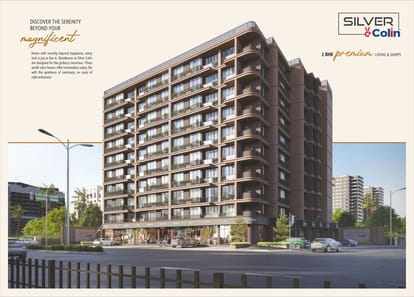 Silver colin Brochure Image 14