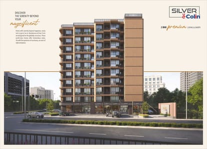 Silver colin Brochure Image 3