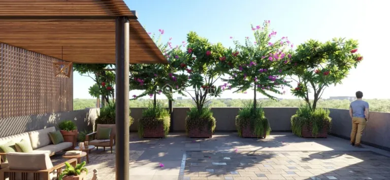 The Bougainvillea Image 8