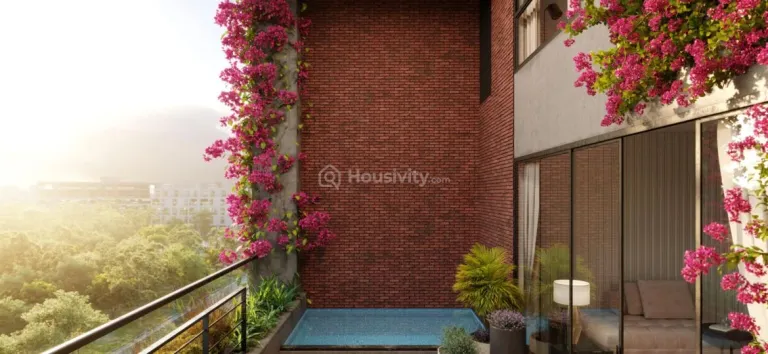 The Bougainvillea Image 5