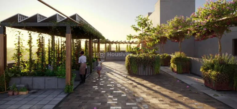 The Bougainvillea Image 6