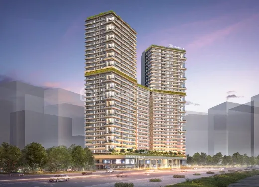 Bakeri Stella Image 13