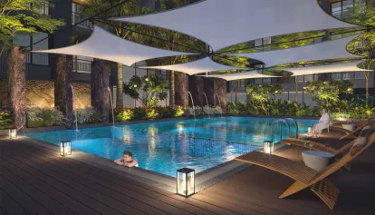 Shiv Orchid Image 14