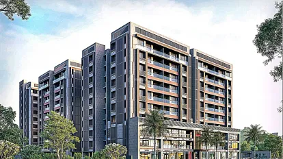 Shree Aaval Shyam Status Image 6