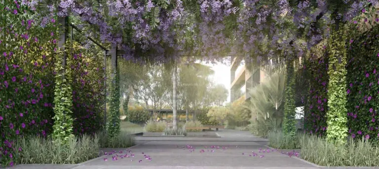 Siddhraj Zoey Image 9