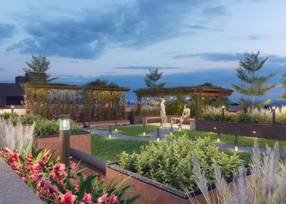 The Palladia Image 6