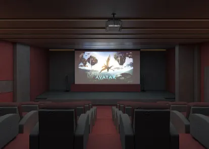 The Palladia Image 17