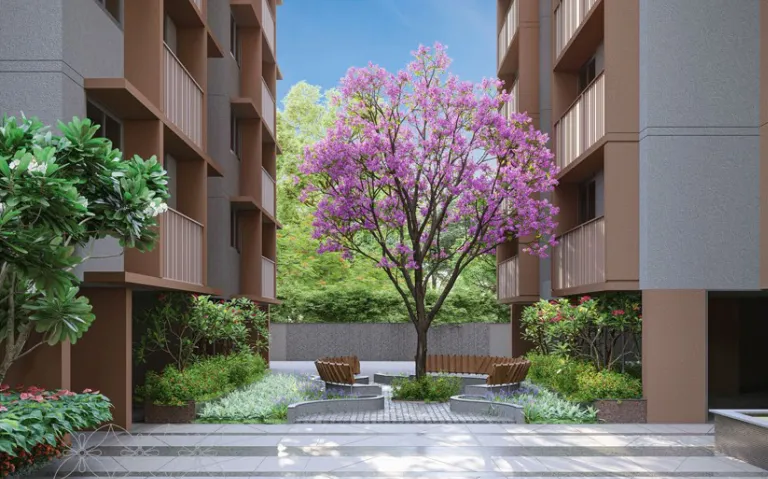 Indraprasth Ixora Image 6