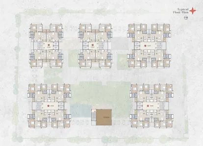 Indraprasth Ixora Image 7