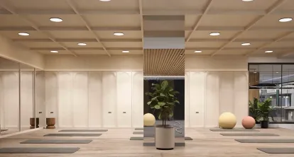 Elenza Gradient Image 12