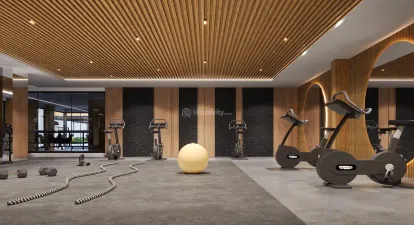 Elenza Gradient Image 15