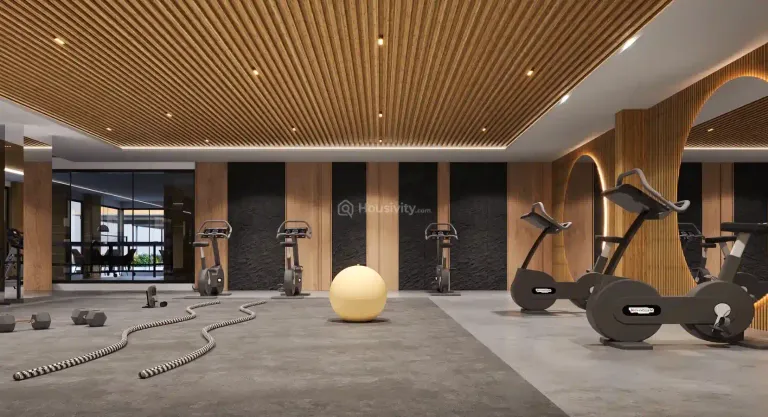 Elenza Gradient Image 15