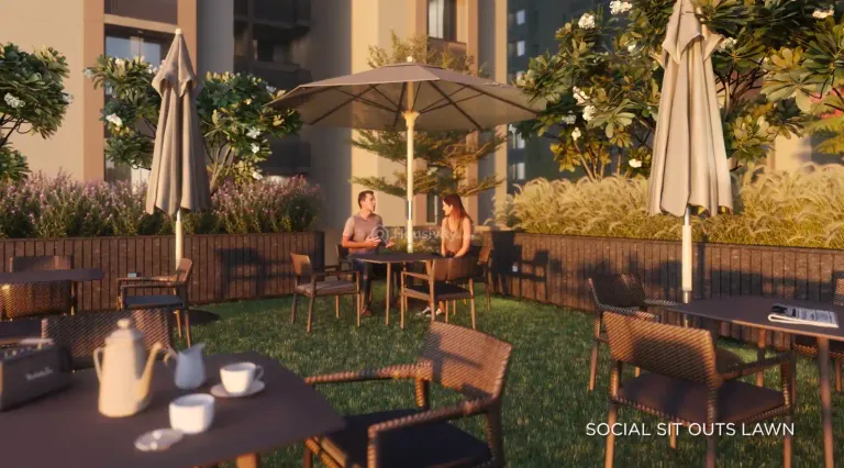 Orchid Gold Image 17