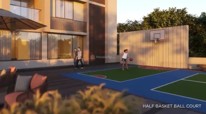 Orchid Gold Image 14