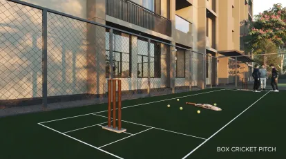 Orchid Gold Image 15