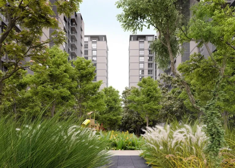 Kavisha - The Canvas Image 8